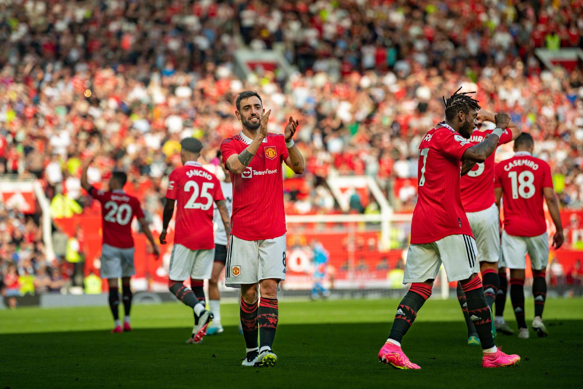 或许能够为 或许能够为